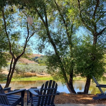 McEvoy Ranch - View of the olives and water - Wine Tasting Room Near Me - Petaluma, California