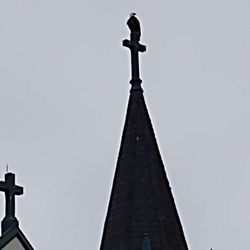 Our Lady Star of the Sea - Yes, that's a bald eagle.