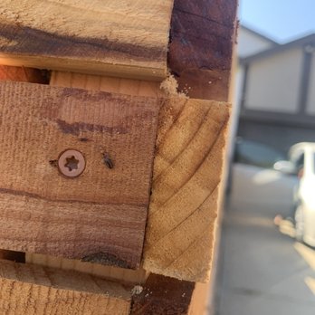 West Coast Fence - Termite dust - Fences & Gates Near Me - Spring Valley, California West Coast Fence - Termite dust - Fences & Gates Near Me - Spring Valley, California