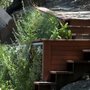 Photo of Madroño Landscape Design Studio