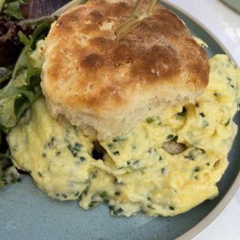 Sunflower Caffe - Buttermilk Biscuit Sandwich - Coffee & Tea Near Me - Sonoma, California Sunflower Caffe - Buttermilk Biscuit Sandwich - Coffee & Tea Near Me - Sonoma, California