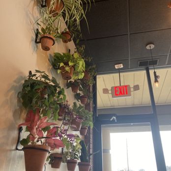 Ascend Coffee - Coffee & Tea Near Me - Indianapolis, Indiana Ascend Coffee - Coffee & Tea Near Me - Indianapolis, Indiana