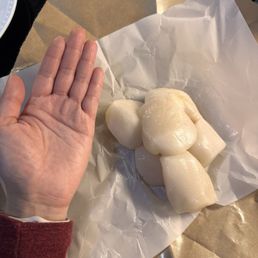Huge scallops