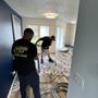 Photo of Luxury Carpet & Upholstery Cleaning