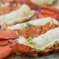 Exquisite Bites Catering - Lobster