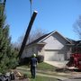 Photo of Toad's Tree Service