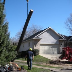 Toad's Tree Service