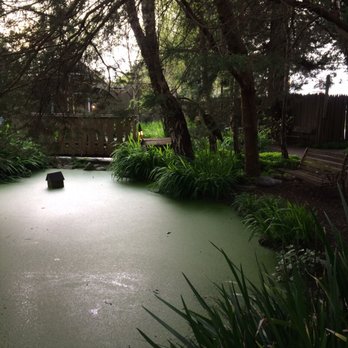 Cafe Mokka - The exterior pond - Coffee & Tea Near Me - Arcata, California