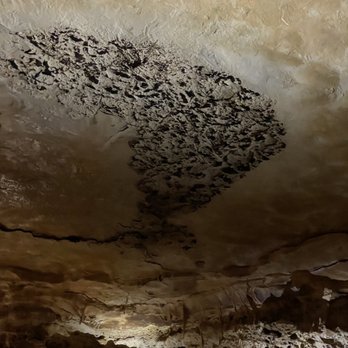 Natural Bridge Caverns - Tours Near Me - San Antonio, Texas