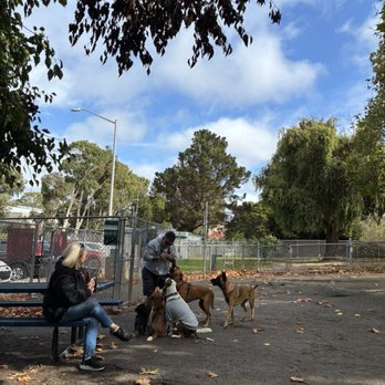 Kit's Dog Walking - Doggos - Dog Walkers Near Me Kit's Dog Walking - Doggos - Dog Walkers Near Me