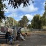 Photo of Kit's Dog Walking