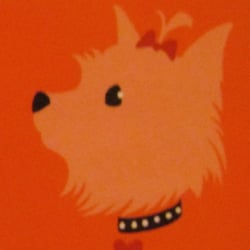 Dog Grooming by Jamie