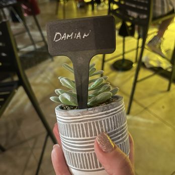 DOLORES BUT YOU CAN CALL ME LOLITA - Updated October 2024 - 2255 Photos