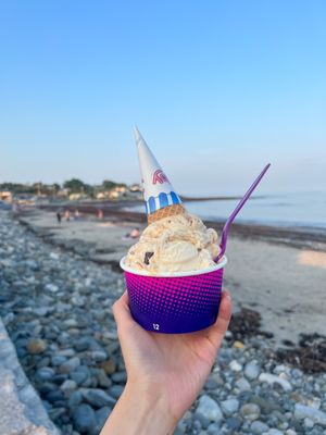 The Beach Plum by null