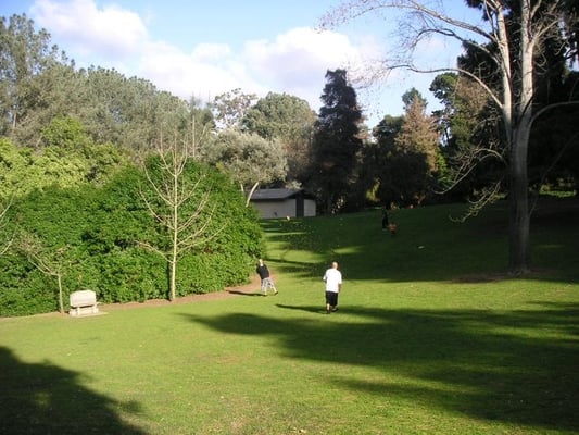 Presidio Park by null