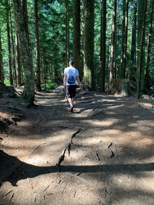 Franklin Falls Trailhead by null