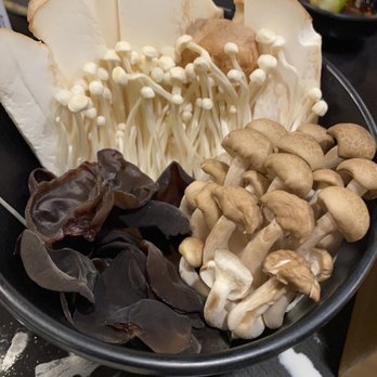Honolulu Hotpot Hale - V1 Mushroom Set (King Oyster, Enoki, Wood Ear, and Brown Shimeji) - Hot Pot Near Me - Honolulu, Hawaii Honolulu Hotpot Hale - V1 Mushroom Set (King Oyster, Enoki, Wood Ear, and Brown Shimeji) - Hot Pot Near Me - Honolulu, Hawaii