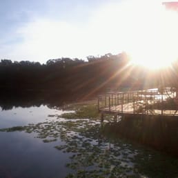 Greenwood in the morning by the lake