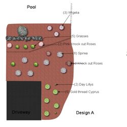 Picture Perfect Landscape - Drawn to scale , full color and detailed landscape design services available.