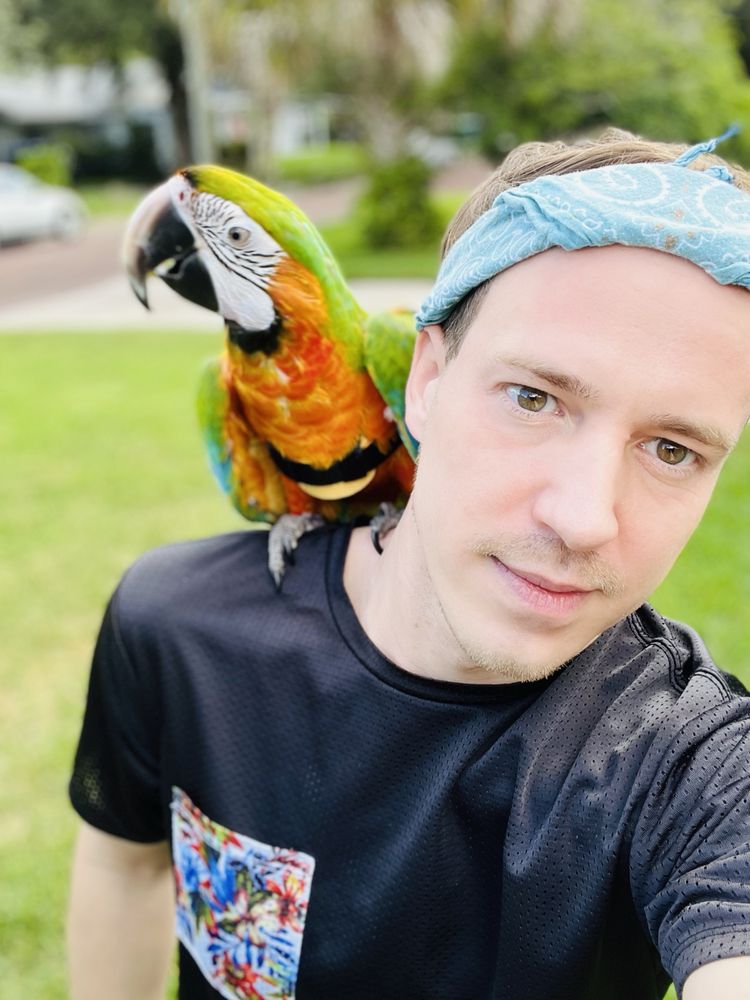 The Bird Store Image