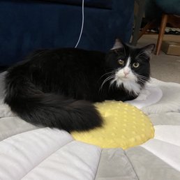My Fur Baby My Fur Baby