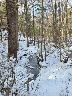 Wompatuck State Park by null