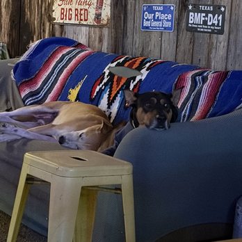 Bend General Store - Doggies! - Burgers Near Me - Bend, Texas