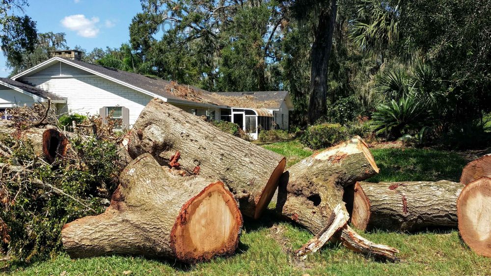Slide of Roofer Orlando