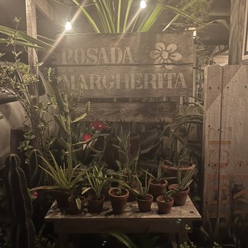 Posada Margherita - Plants and more plants - Italian Near Me - Tulum, ROO
