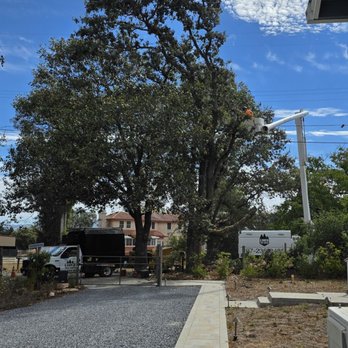 G Garcia Tree Service - Tree Services Near Me - Santa Rosa, California G Garcia Tree Service - Tree Services Near Me - Santa Rosa, California