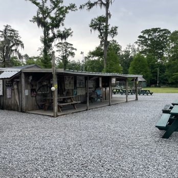 Cajun Pride Swamp Tours - Tours Near Me - La Place, Louisiana