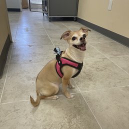 Hazel's fresh cut - Smooth out hair cut style