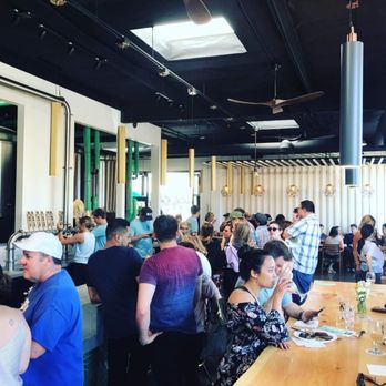 Salty Bear Brewing - Salty Bear Brewing - Breweries Near Me - Costa Mesa, California