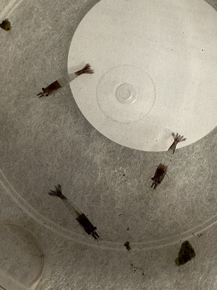 PET WORLD Updated October 2024 11 Photos 851 Fairport Rd, East