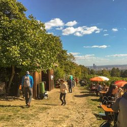 Das Leben spüren - Embrace Life - Vienna Vineyard Hike