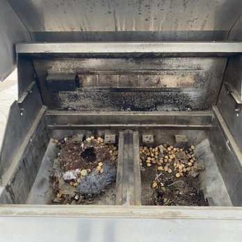 Grizzly Grills BBQ Cleaning - Rodents had set up home in our grill. They had an abundance of food supply and even used the steel wool I'd set out as a deterrent for beds. - Grill Services Near Me