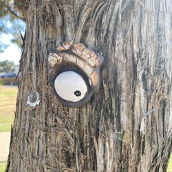 Longhorn Park