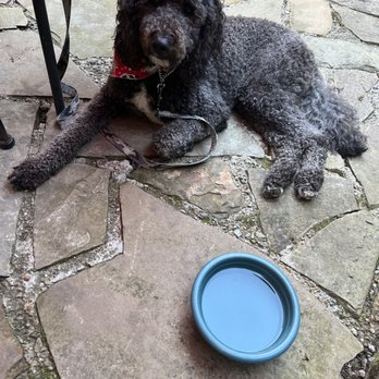 Hocking Hills Winery - Dog friendly place. They even brought our pup a water bowl - much appreciated! - Wine Tasting Room Near Me - Logan, Ohio Hocking Hills Winery - Dog friendly place. They even brought our pup a water bowl - much appreciated! - Wine Tasting Room Near Me - Logan, Ohio