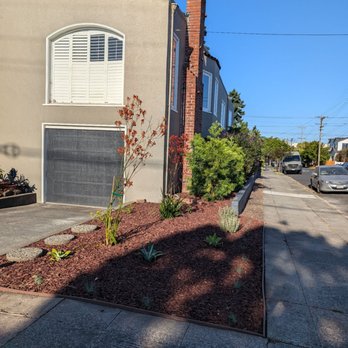 Life Turf Landscaping - Artificial Turf Near Me - Petaluma, California