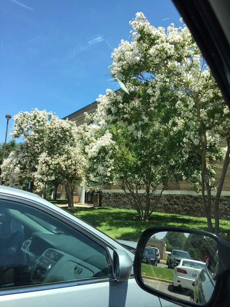 GRAVES FITNESS CENTER 15 Reviews 2116 Abbot Rd, Fort Belvoir