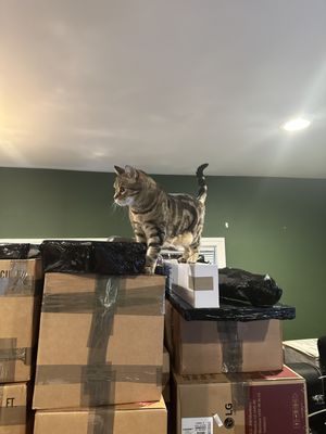 Best US Moving INC photo 3