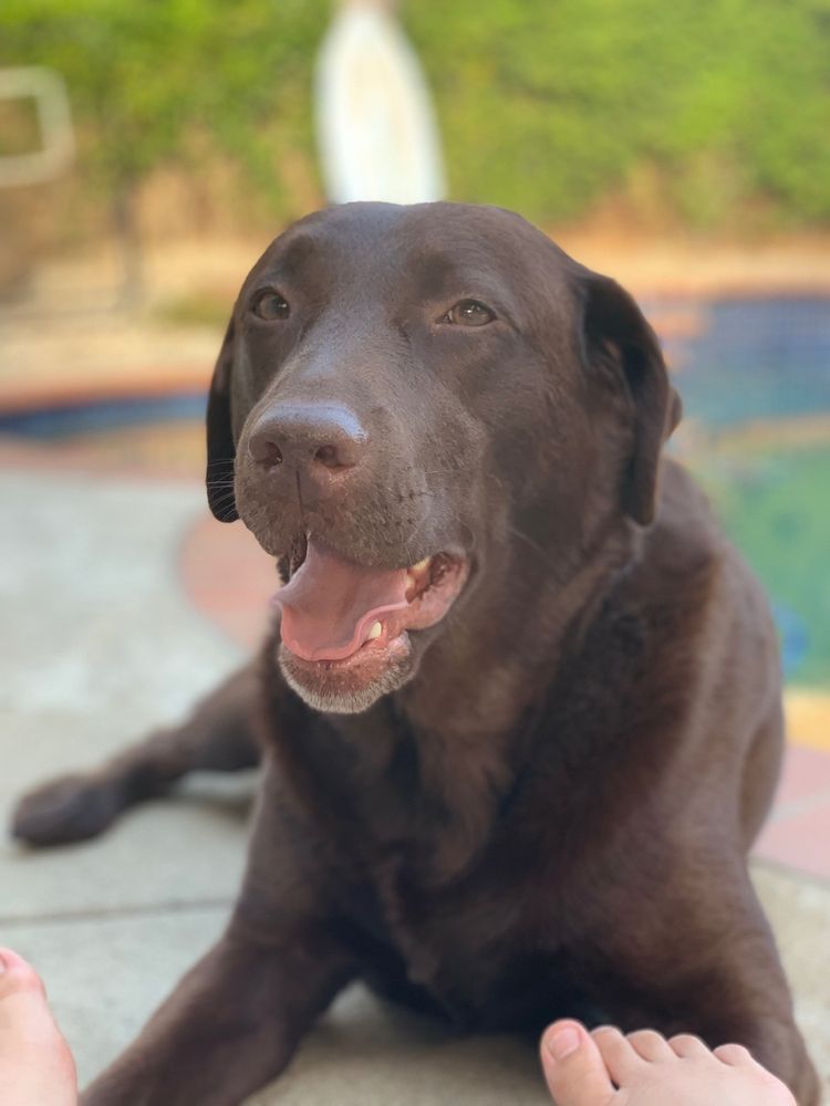 SEDONA ANIMAL CLINIC Updated October 2024 36 Reviews 100 Posse