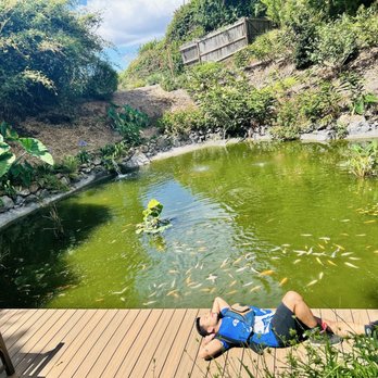Kula Botanical Gardens - Massive Koi pond - Parks Near Me - Kula, Hawaii