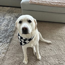 Paisley is race weekend ready!