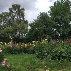 Café am Michaelshof