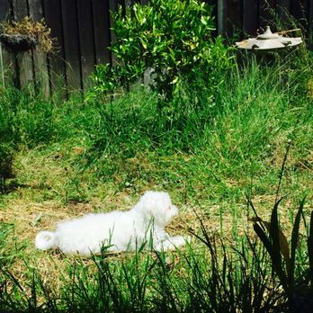 Mr. Pavers - Good sunbathing ground - Masonry/Concrete Near Me - San Ramon, California Mr. Pavers - Good sunbathing ground - Masonry/Concrete Near Me - San Ramon, California