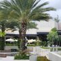 Photo of Restaurant Row