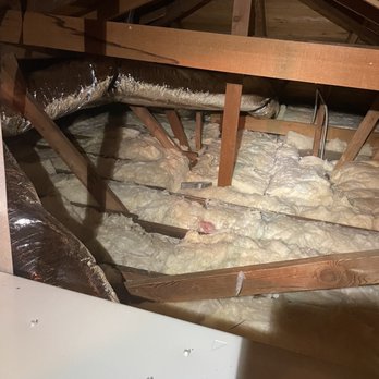 JH Rodent Insulation - Batting installed - Insulation Installation Near Me JH Rodent Insulation - Batting installed - Insulation Installation Near Me