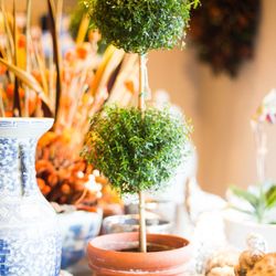 The Tulip Tree - Topiaries