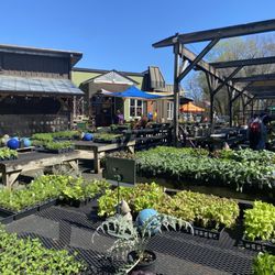 Intown Ace Hardware - Very lush garden center!
